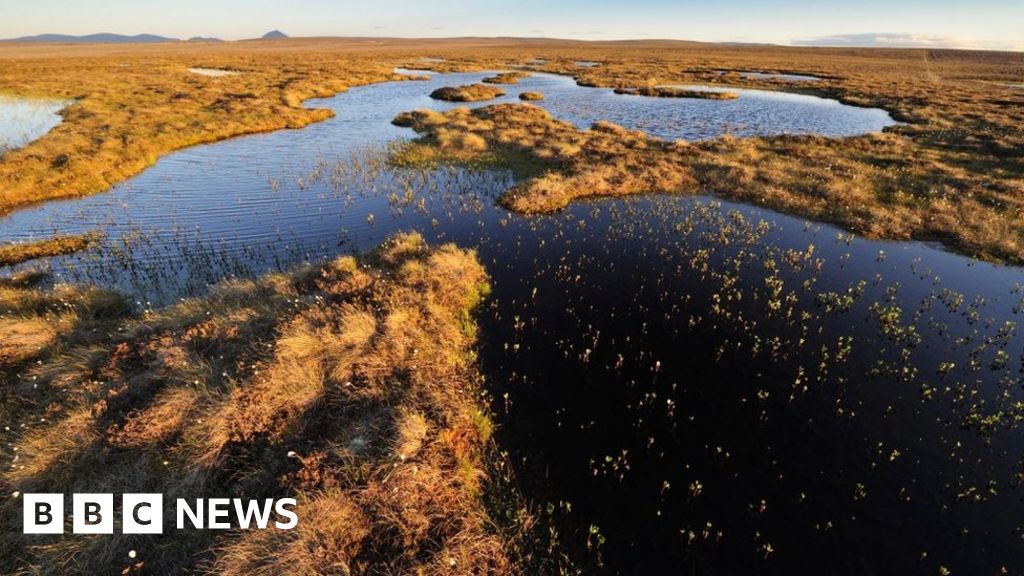 Scotland's Flow Country focus of Unesco World Heritage bid - BBC News