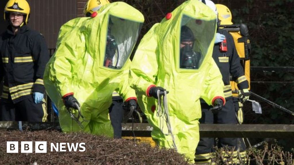 Inspectors back UK in spy poisoning row