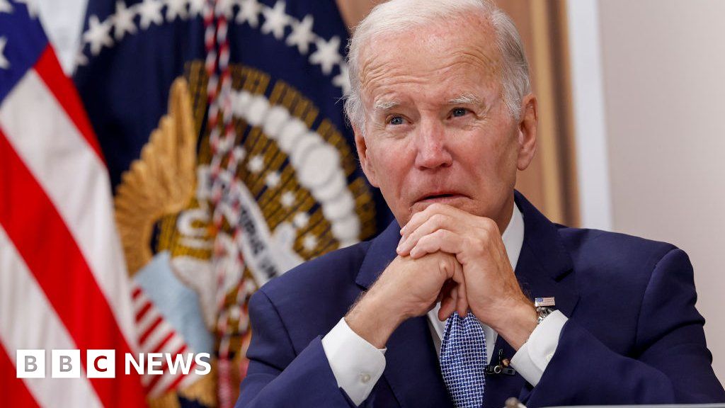 US presidential election 2024 Democrats who might challenge Biden