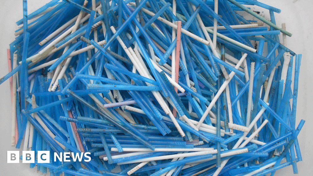 Plasticstemmed cotton buds now banned in Scotland