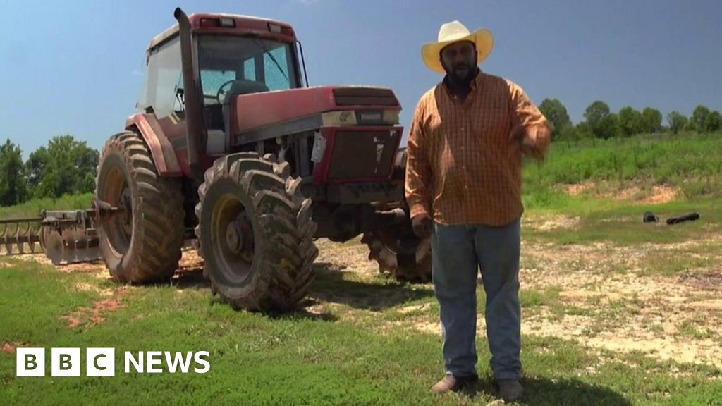China tariffs devastating, says soybean farmer