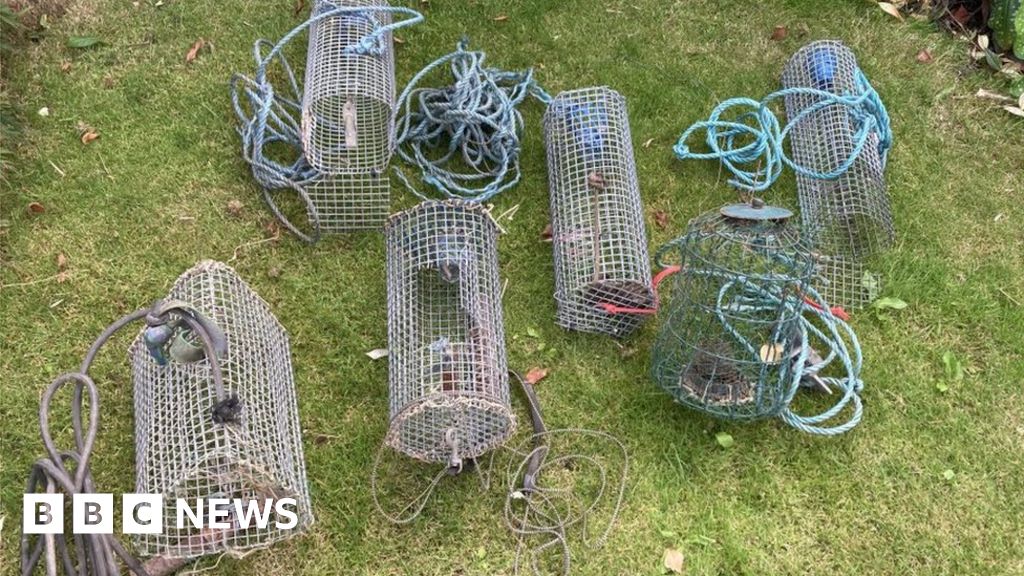 The Shocking Truth About Fish Traps A Nyt Exposé - wmhfzng