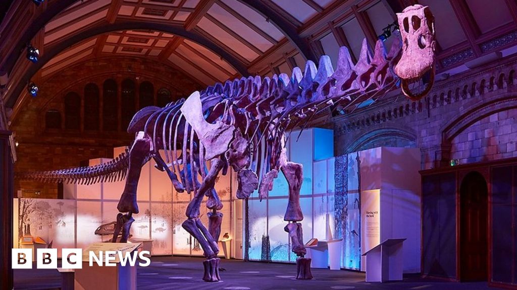 Timelapse: Assembling the world's biggest dinosaur skeleton