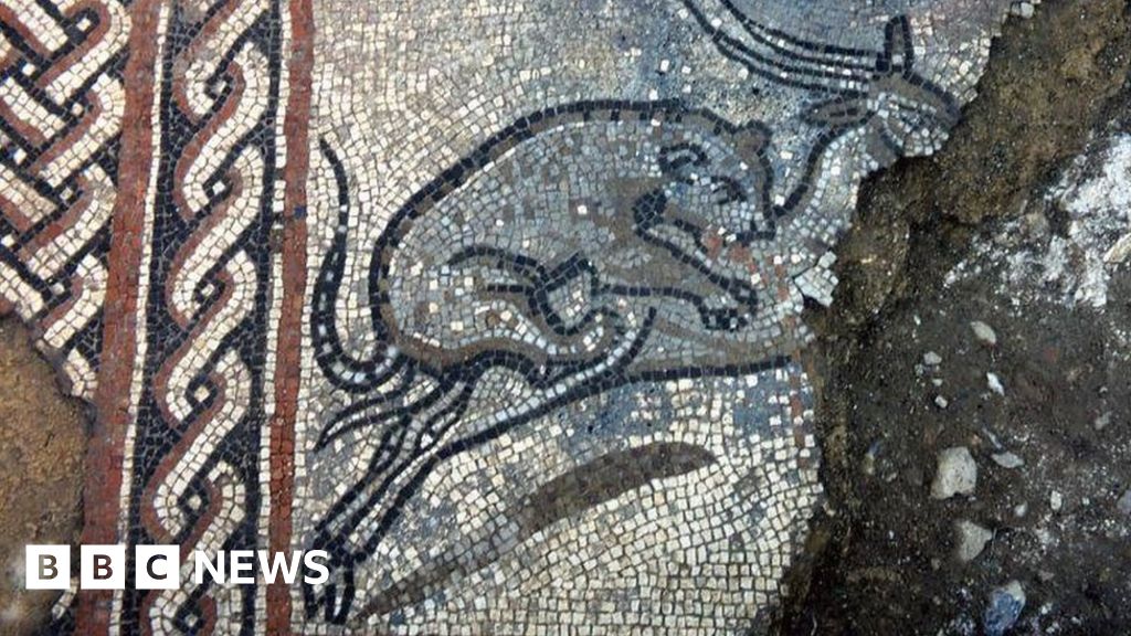 Dewlish Roman mosaic bought by Dorset County Museum 