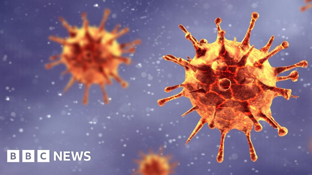 First coronavirus-related death confirmed in NI