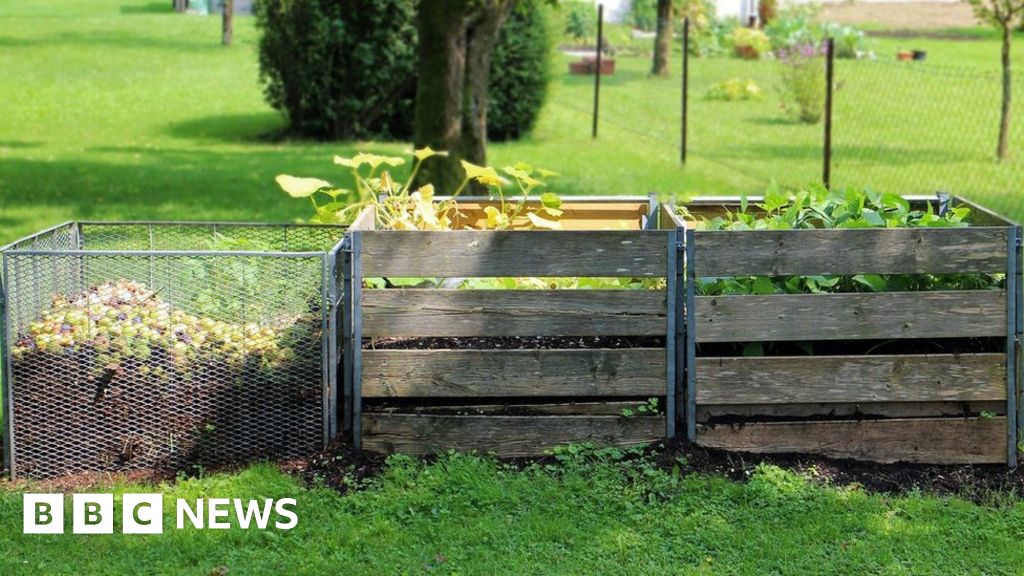 North Somerset residents to be charged for green waste collection BBC