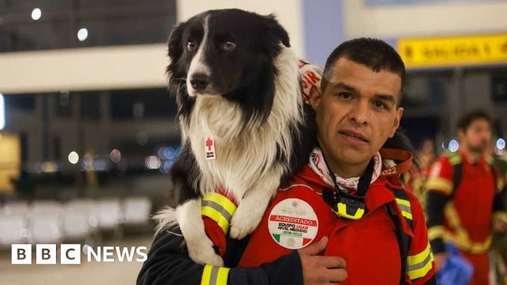 Turkey earthquake: Mexico sends its famed search and rescue dogs