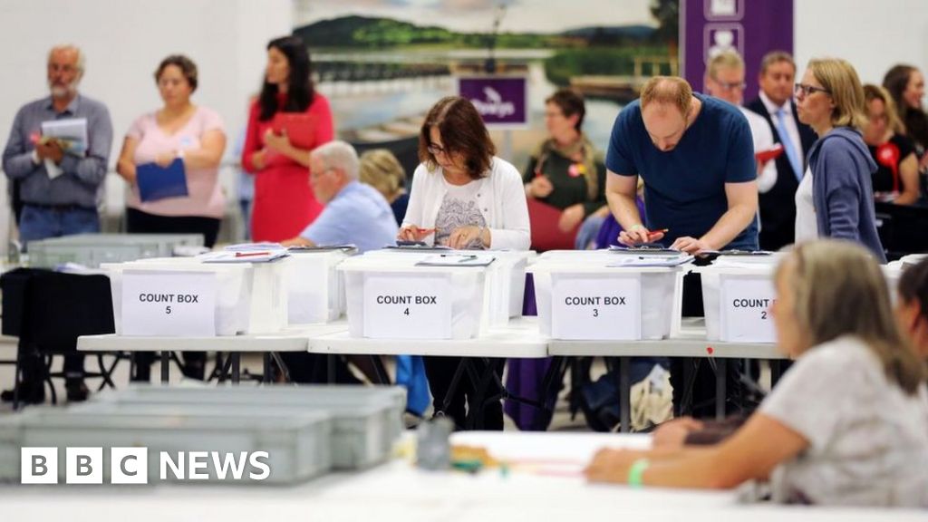General election 2019: What is tactical voting?