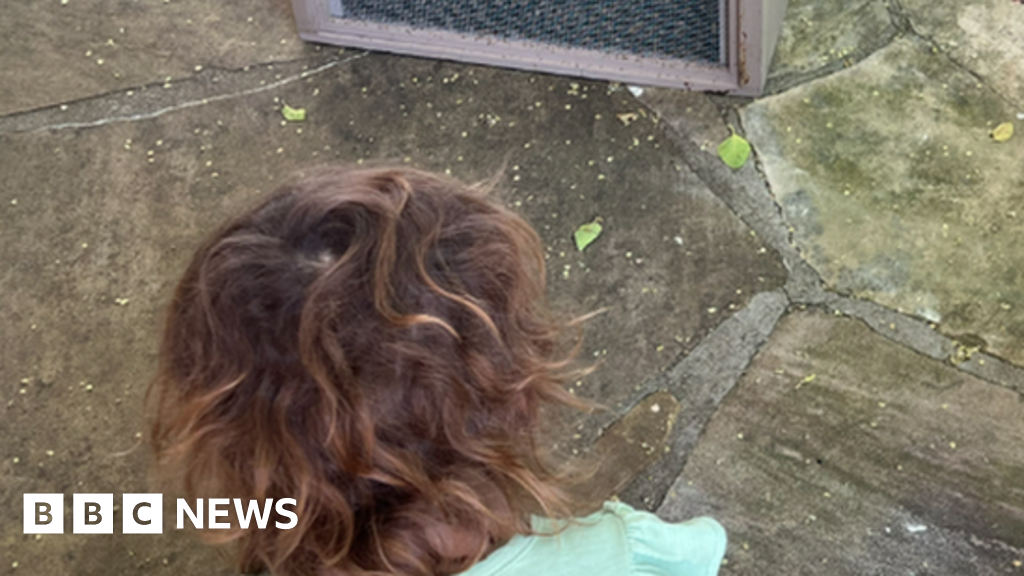 A child said monsters were in her room. It was 60,000 bees