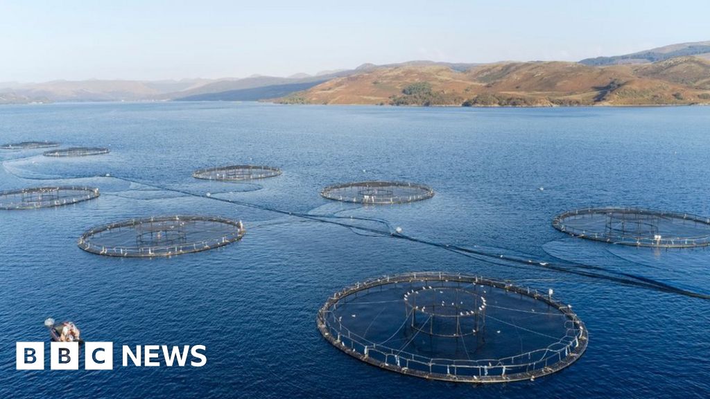 Scottish salmon producers warn of 'huge' Brexit burden