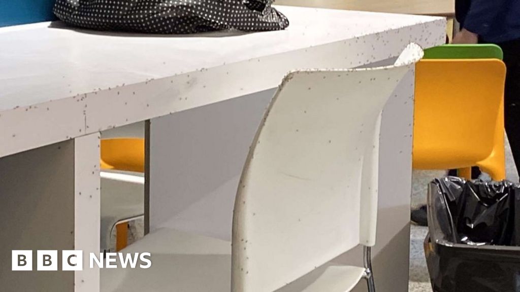 Fruit fly infestation at Greenfaulds High School BBC News