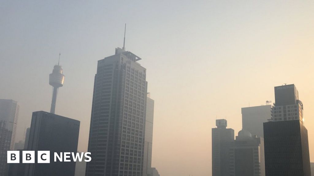 Australia fires: Smoke shrouds Sydney and Adelaide