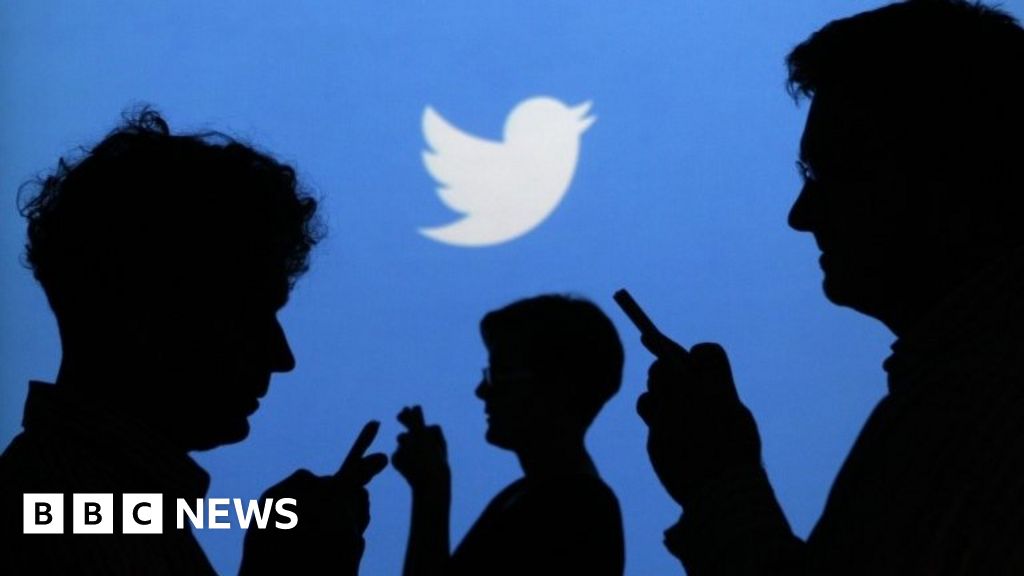 Massive networks of fake accounts found on Twitter