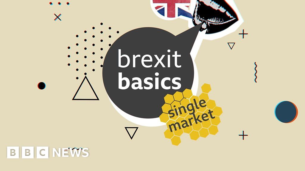 Brexit Basics: The single market explained - BBC News