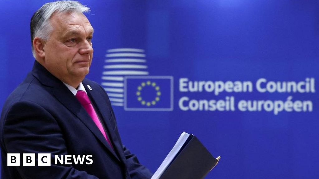 Hungary's Viktor Orban: Is one man blackmailing the EU?