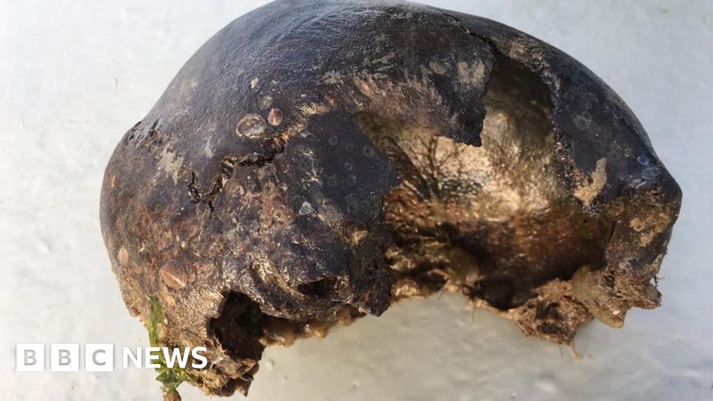 _106142697_skull1.jpg