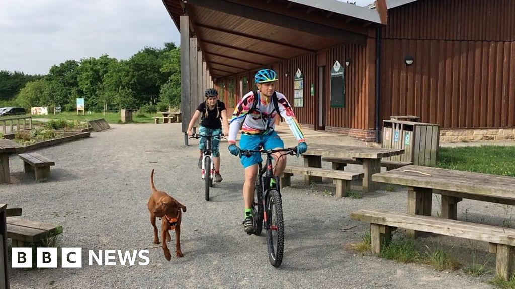 Adventurous dog Pepper Instagram star BBC News