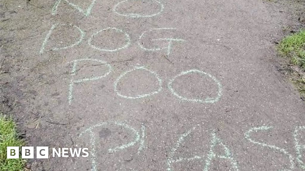 'Disgusting' piles of dog poo 'horrify' Waingroves parents BBC News