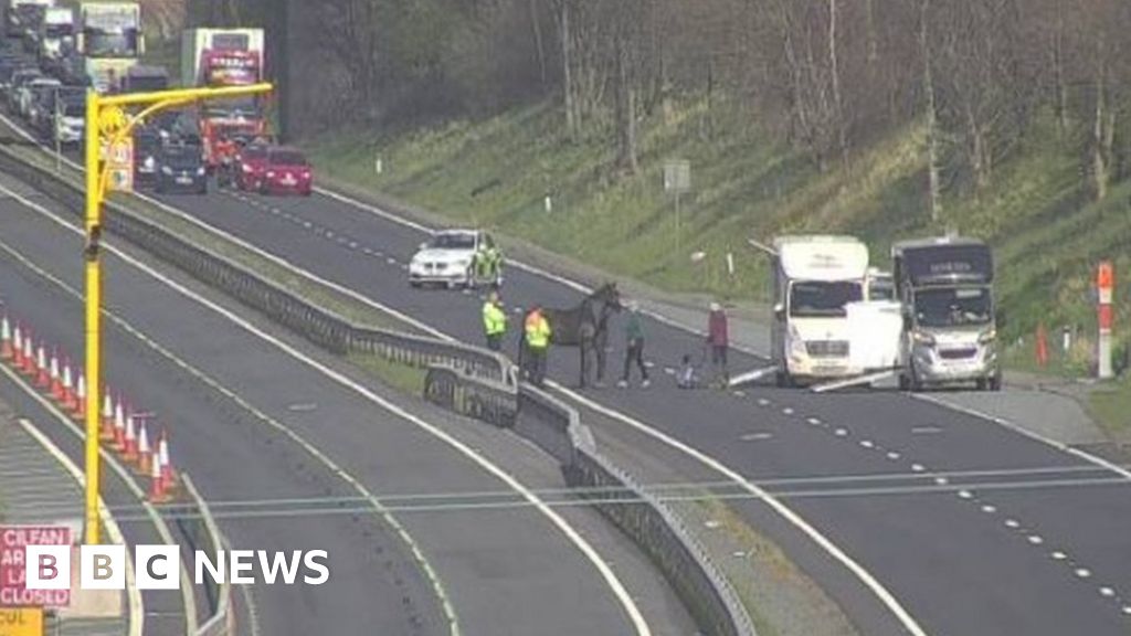 A55 Easter traffic brought to standstill as horse breaks down