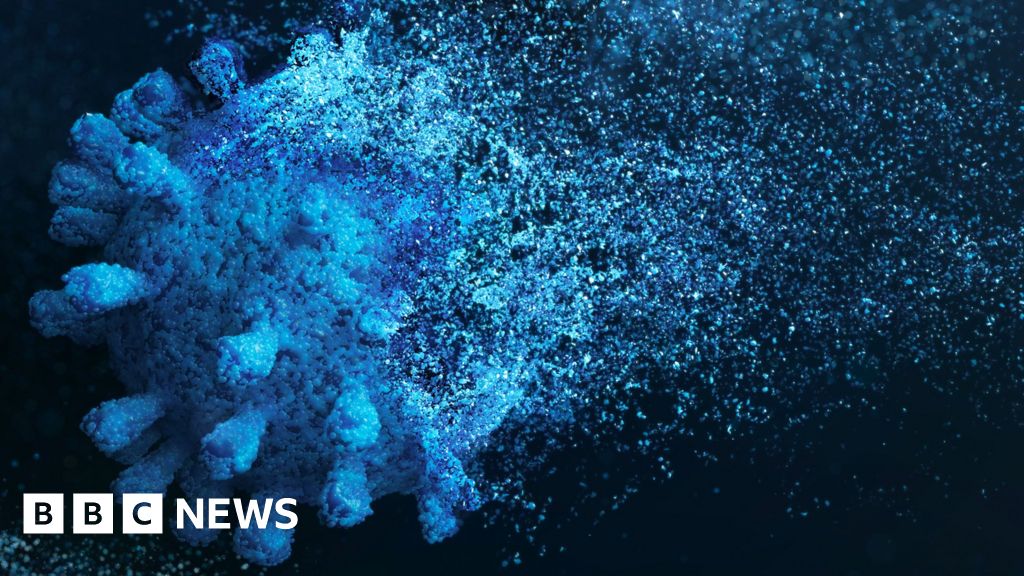 melodrama rytme filosofi Million-year-old viruses help fight cancer, say scientists - BBC News