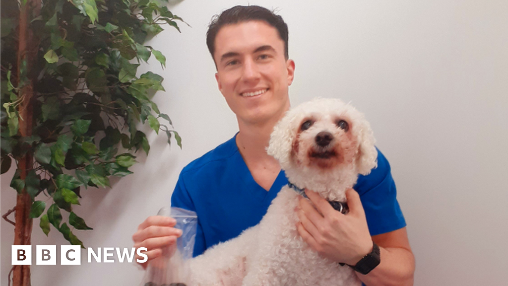 Swindon dog gets surgery after swallowing more than 130 coins