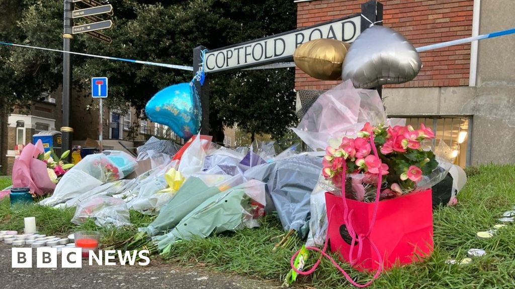 Brentwood murder investigation: Boys killed were 16, MP says.