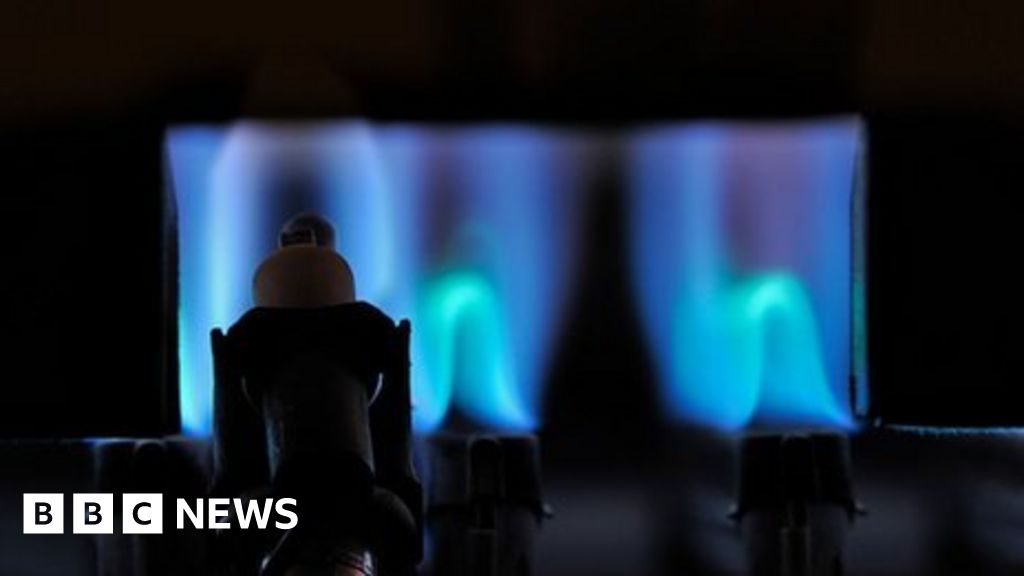 Climate change: Ban all gas boilers from 2025 to reach net-zero - BBC News