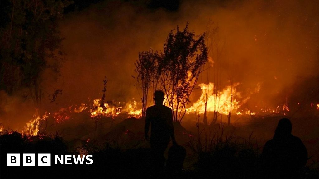 In pictures: Wildfires ignite across Indonesia