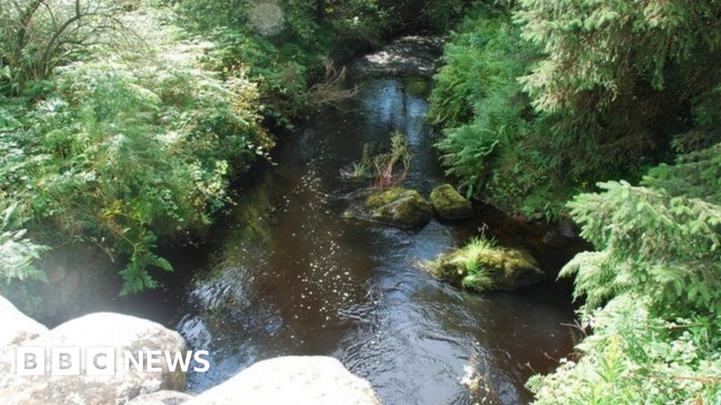 Gold panning in Gwynedd river investigated by police - BBC News