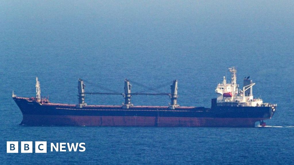 Les premiers navires céréaliers arrivent en Ukraine par une nouvelle route