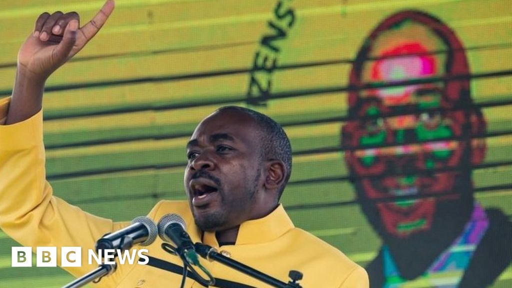 Zimbabwe by-elections: New party, same fears of dirty tricks