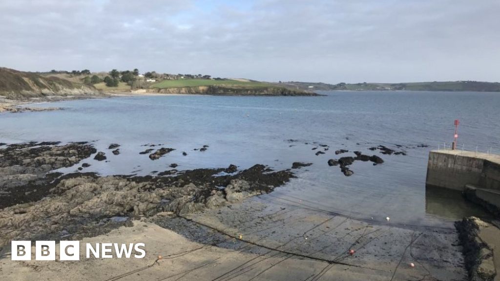 Cornwall seaweed farms opponents celebrate as plans dropped 