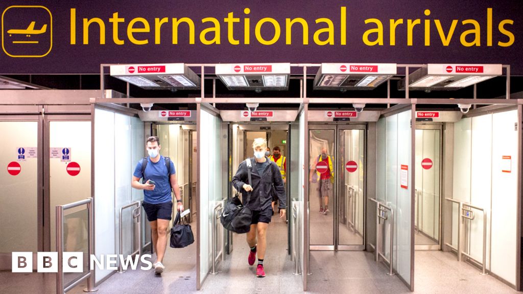 Coronavirus Uk Made Serious Mistake Over Border Policy Say Mps Bbc News