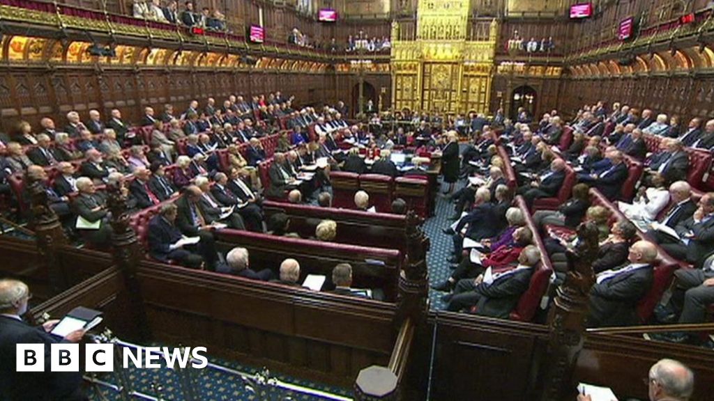 House of Lords 'should cut number of peers to 600'