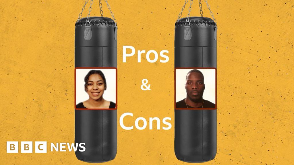 What are the pros and cons of being a boxer?
