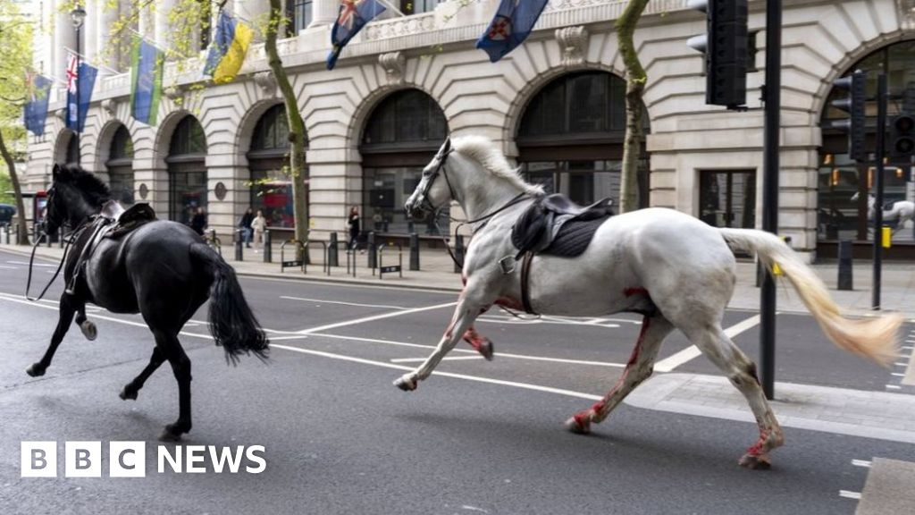 Image of the One hurt after runaway horses seen in central London news article