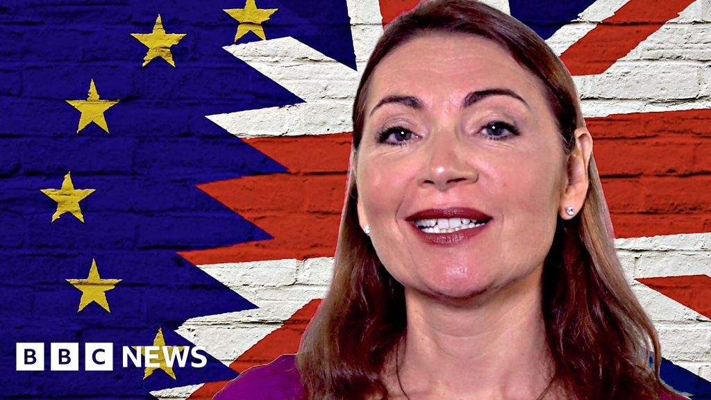 Brexit Explainer Is The Eu Really United Over Brexit Bbc News