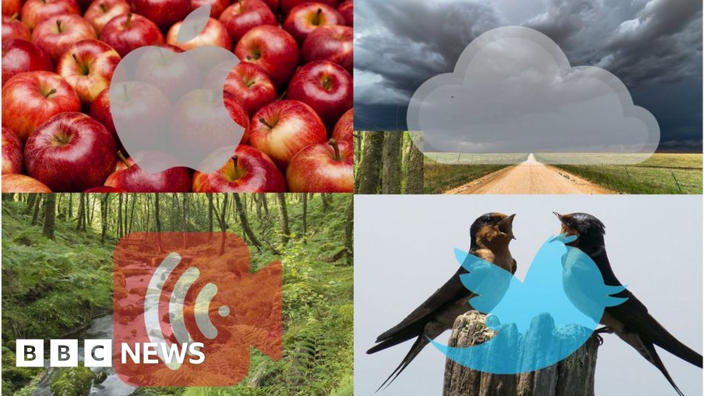 Nature's language is being hijacked by technology