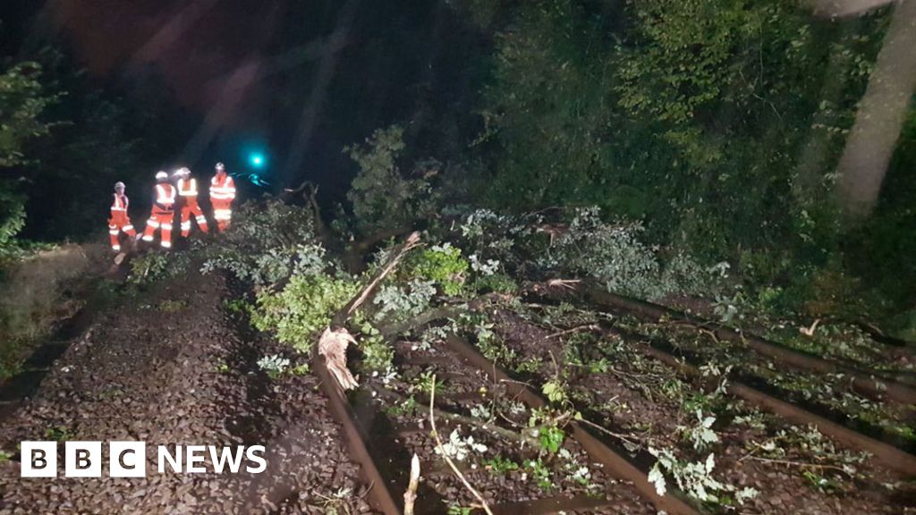 Train hits tree near Llanbradach with four people hurt - BBC News