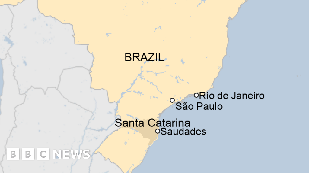 Teenager kills young children in Brazil nursery