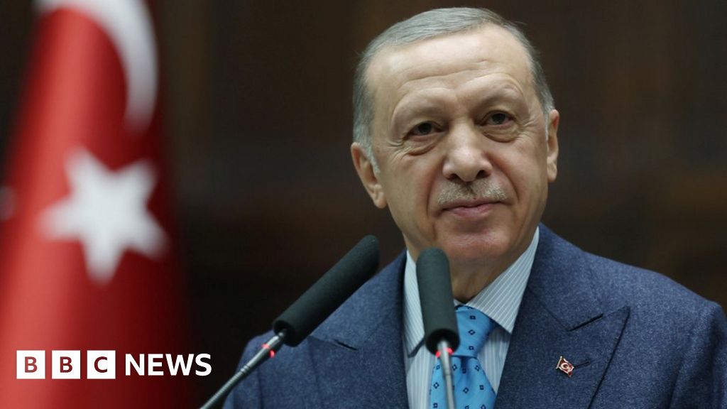 Erdogan tells Sweden not to expect Nato bid support