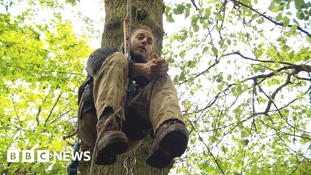 HS2 protesters spending coronavirus lockdown in trees - BBC News