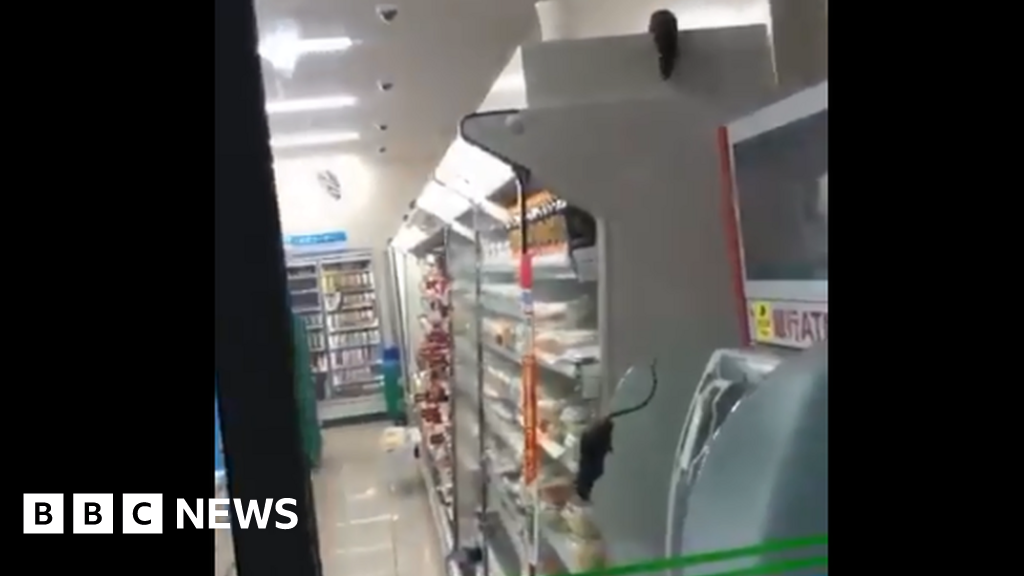 Japan s FamilyMart convenience chain apologises for rats in store