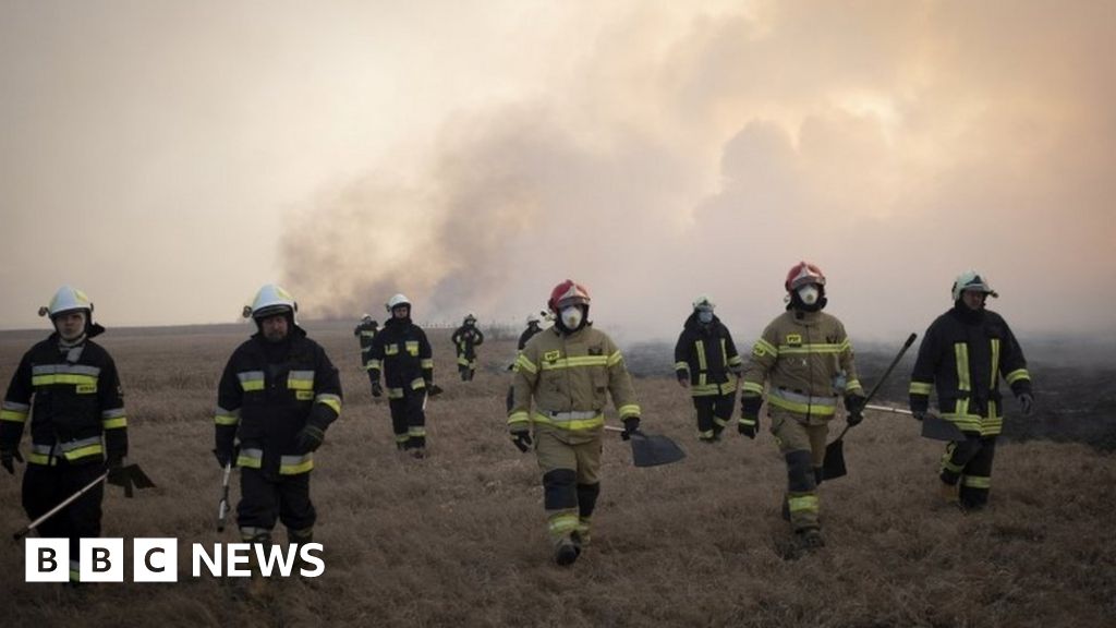 Wildfires rip through Poland's biggest national park
