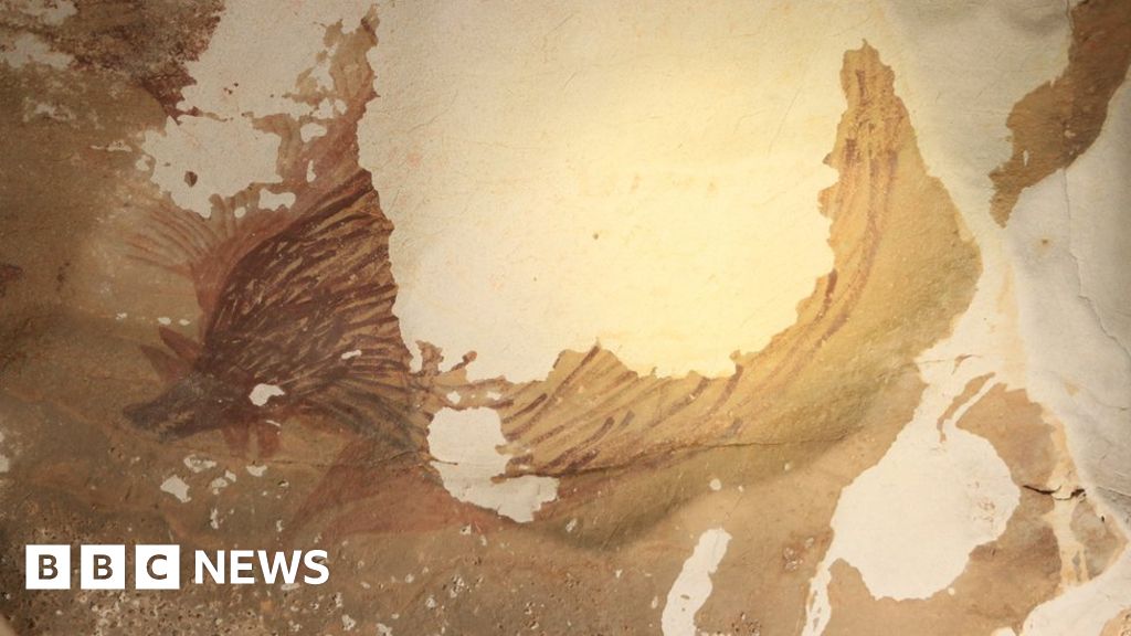 Indonesia: Climate change destroying world's oldest animal painting - BBC N