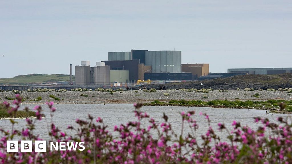 Nuclear: Hitachi Scraps £20bn Wylfa Power Plant - BBC News