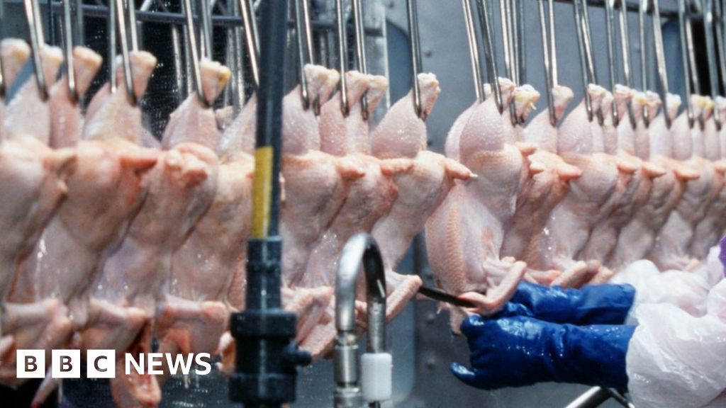 UK ban on US chlorinated chicken 'to continue after Brexit'