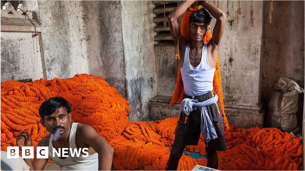 World Bank warns South Asia economic growth to collapse