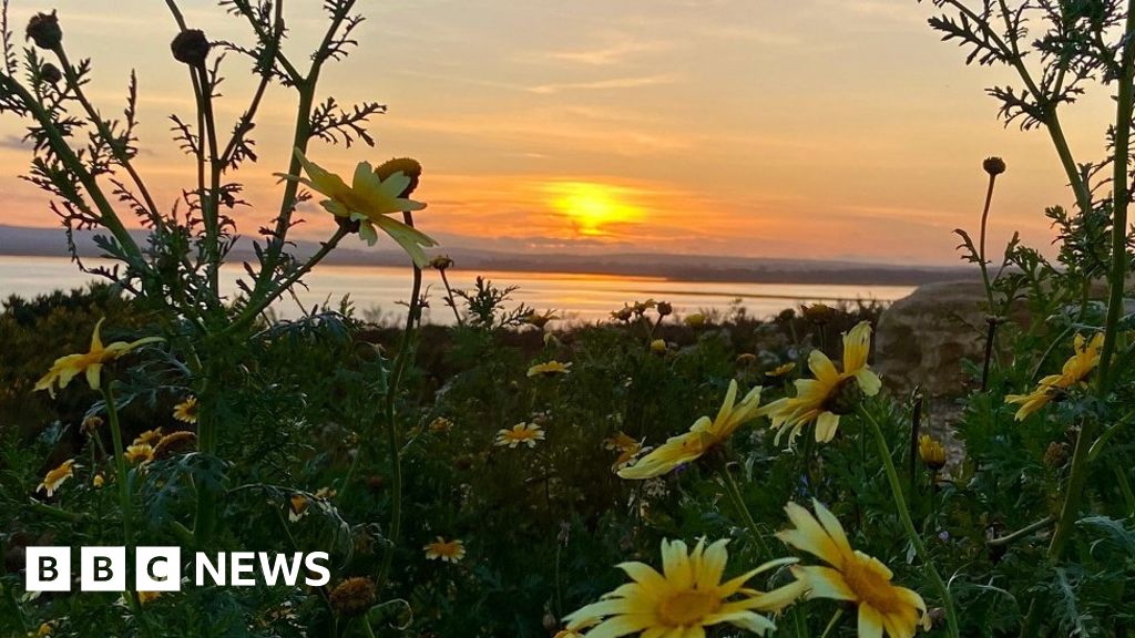 Dorset's Big Picture: 20 November - 26 November 2023 - BBC News