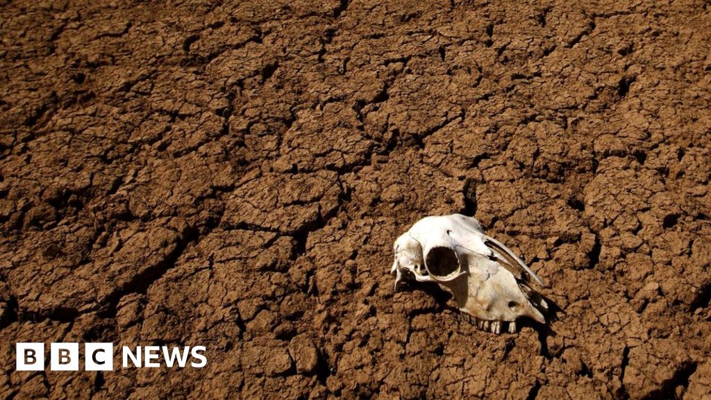 Q&A: Climate Change - Your Questions Answered - BBC News